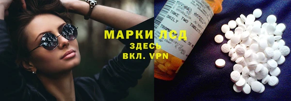 стаф Алексин