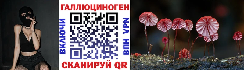 Псилоцибиновые грибы прущие грибы сколько стоит omg ССЫЛКА Сатка