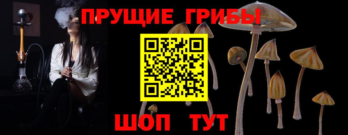 Сатка  Галлюциногенные грибы GOLDEN TEACHER  закладки  Галлюциногенные грибы Cubensis  Вход с VPN 
